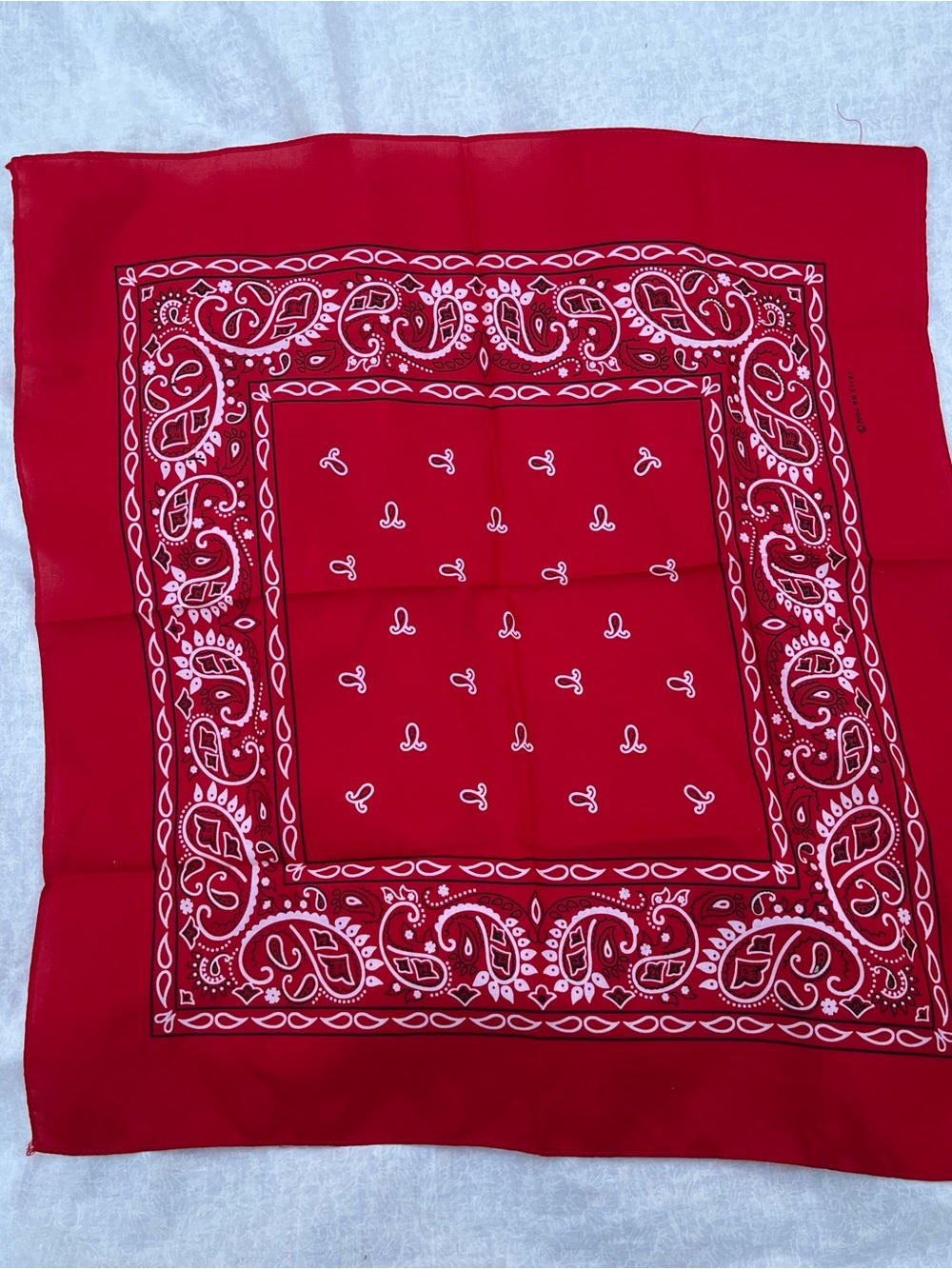 Red Classic Paisley Bandana Scarf Handkerchief